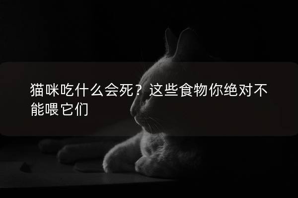 猫咪吃什么会死？这些食物你绝对不能喂它们
