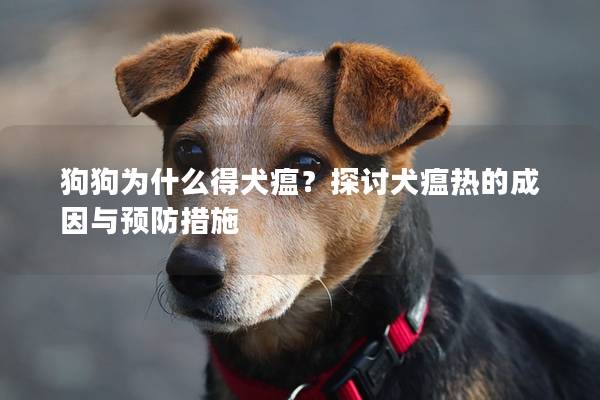 狗狗为什么得犬瘟？探讨犬瘟热的成因与预防措施
