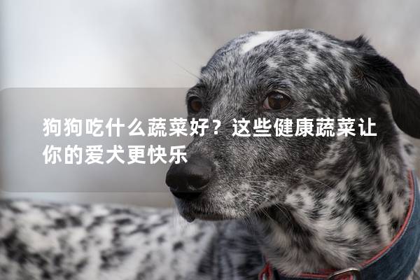 狗狗吃什么蔬菜好？这些健康蔬菜让你的爱犬更快乐