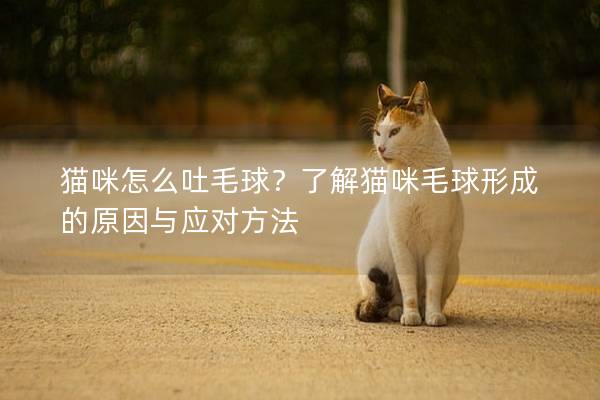 猫咪怎么吐毛球？了解猫咪毛球形成的原因与应对方法